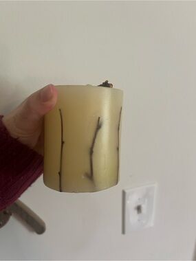 Unscented Ivory Decorative Pillar Candle with Twig Accent